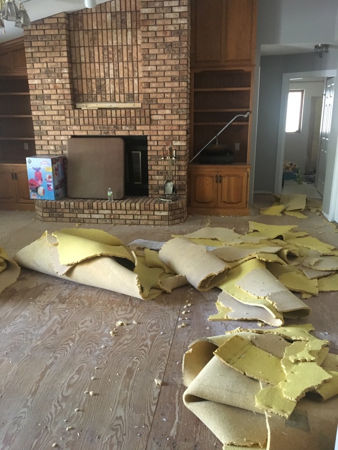 Carpet Ripped Up